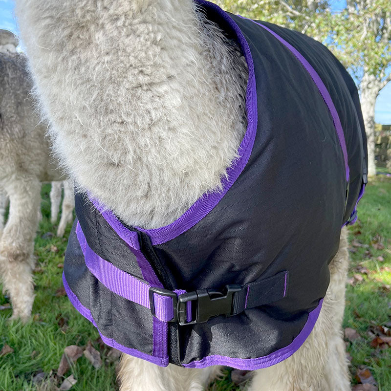 Vest for alpakka