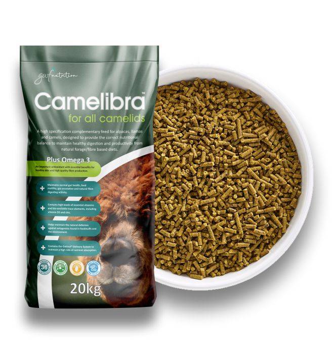 Camelibra 20 kg