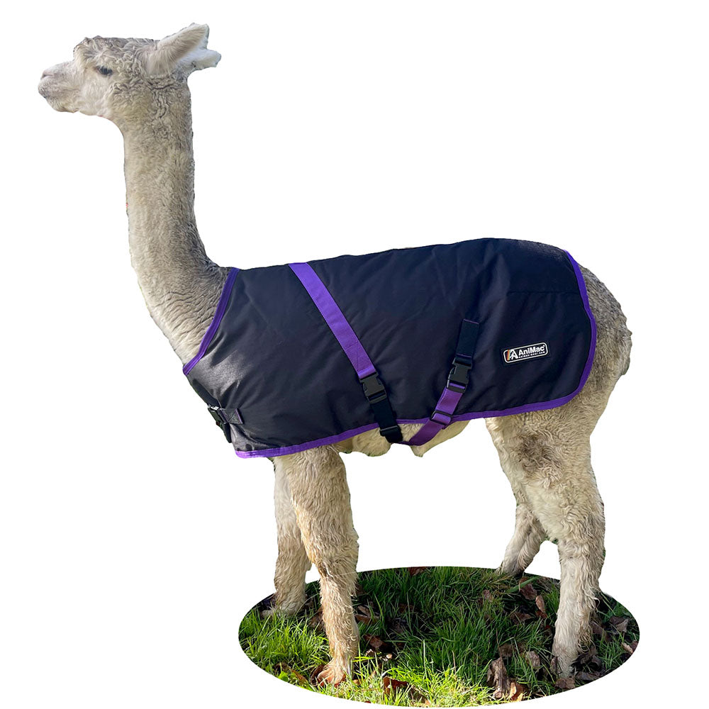 Vest for alpakka