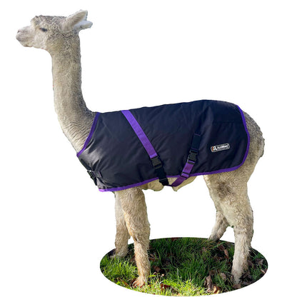 Vest for alpakka