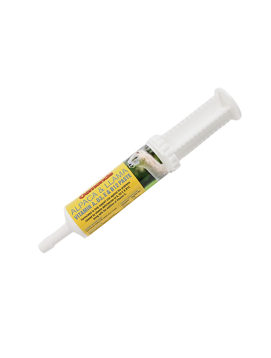 Vitaminpasta A, D3, E & B12